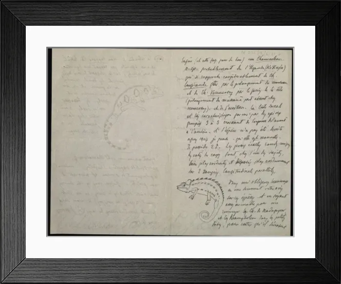 Framed Print : From M. G. Peracca to A. Gunther