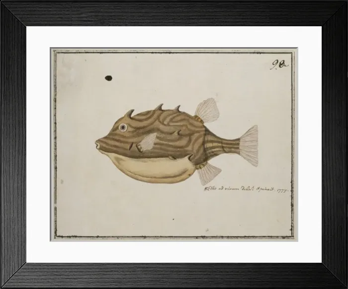 Framed Print : Plate 98 by William Ellis Framed Print : Plate 98 by William Ellis