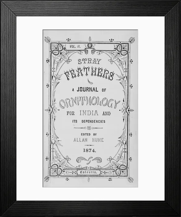 Framed Print : Title page from Stray Feathers Framed Print : Title page from Stray Feathers