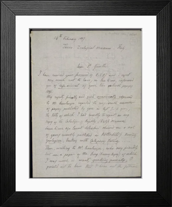Framed Print : From M. G. Peracca to A. Gunther Framed Print : From M. G. Peracca to A. Gunther