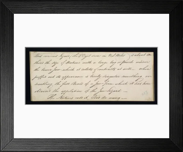 Framed Print : Watling Drawing 194 Framed Print : Watling Drawing 194