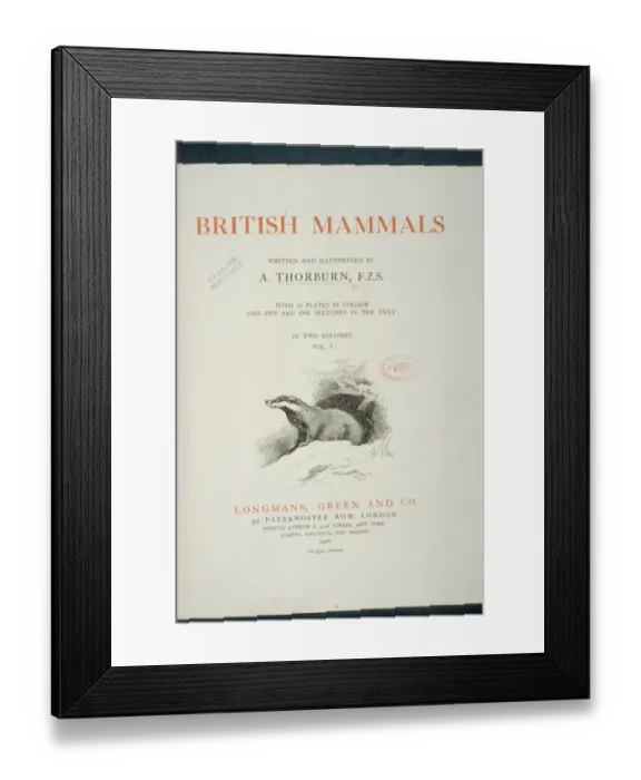 Framed Print : British Mammals Title Page Framed Print : British Mammals Title Page