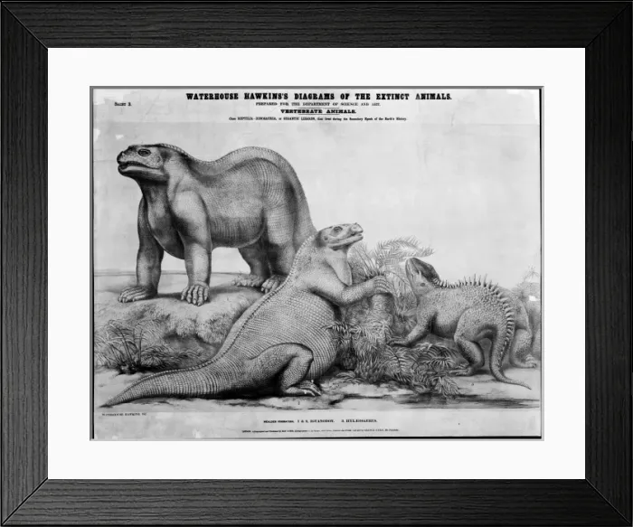 Framed Print : Iguanodon and Hylaeosaurus Framed Print : Iguanodon and Hylaeosaurus