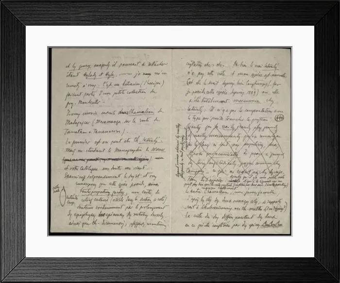 Framed Print : From M. G. Perecca to G. A. Boulenger