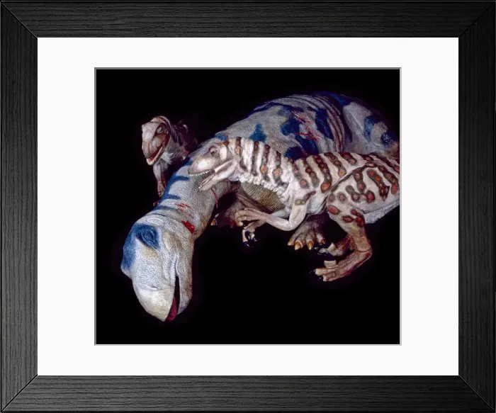 Framed Print : Deinonychus Framed Print : Deinonychus