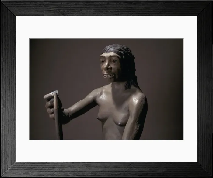 Framed Print : Homo neanderthalensis, Neanderthal Woman (Tabun C1) Framed Print : Homo neanderthalensis, Neanderthal Woman (Tabun C1)