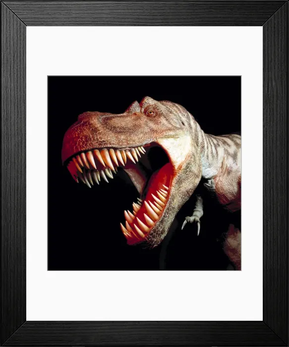 Framed Print : Tyrannosaurus rex Framed Print : Tyrannosaurus rex