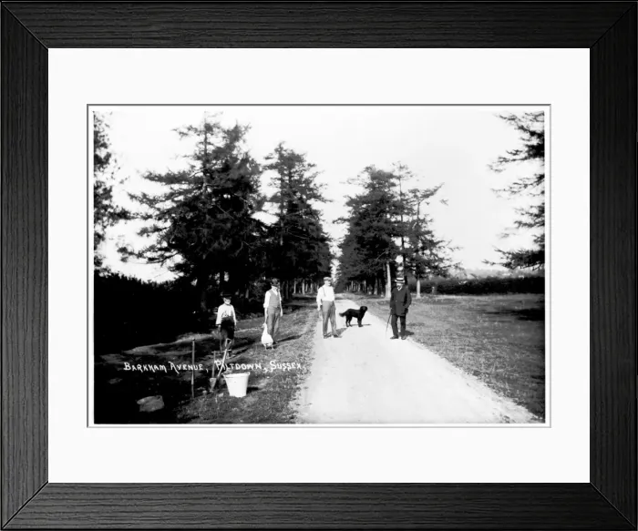 Framed Print : Barkham Avenue, Piltdown, Sussex Framed Print : Barkham Avenue, Piltdown, Sussex