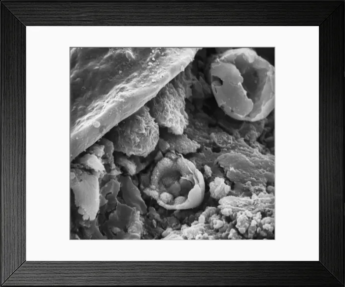 Framed Print : Surface of a rusty screw Framed Print : Surface of a rusty screw