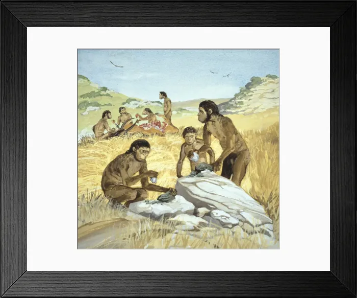 Framed Print : Homo habilis in action Framed Print : Homo habilis in action