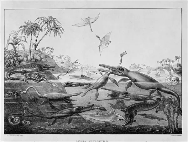 Ichthyosaurr, Plesiosaurus, Pterodactylus