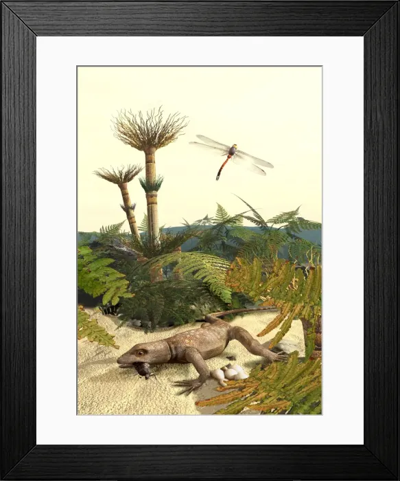 Framed Print : Hepaticites Framed Print : Hepaticites