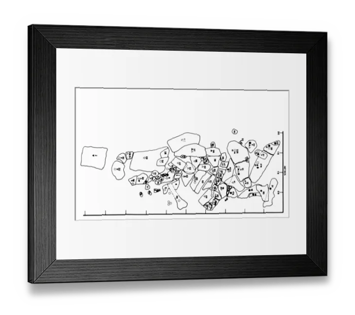Framed Print : Baryonyx fossil remains Framed Print : Baryonyx fossil remains
