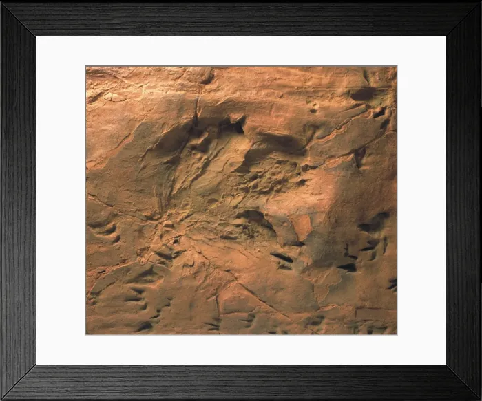 Framed Print : Dinosaur footprints Framed Print : Dinosaur footprints