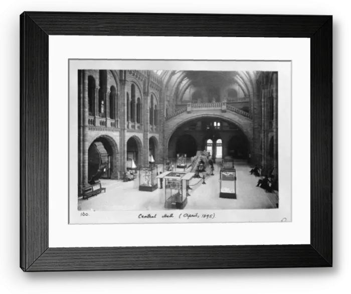 Framed Print : The Central Hall of the Natural History Museum, London Framed Print : The Central Hall of the Natural History Museum, London