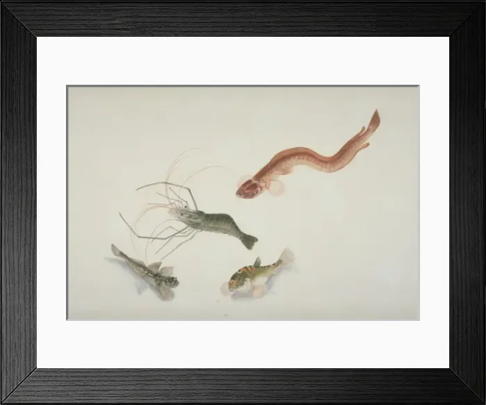Framed Print : Plate 125 from the John Reeves Collection Framed Print : Plate 125 from the John Reeves Collection