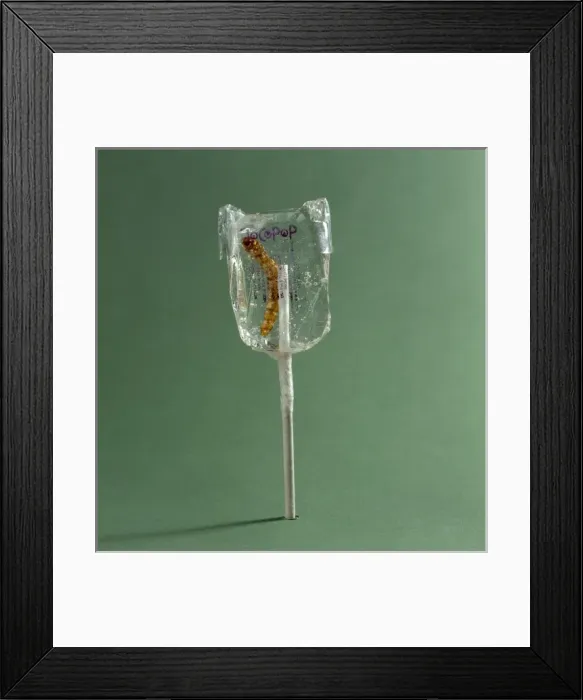 Framed Print : Tenebrio sp. mealworm in a sticky lollipop Framed Print : Tenebrio sp. mealworm in a sticky lollipop