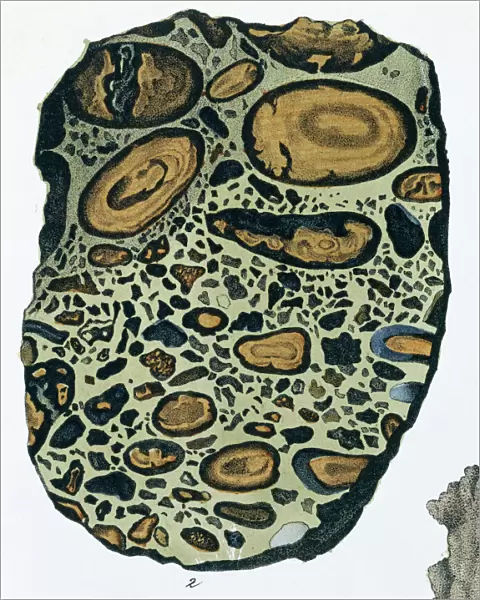 Plate 4, fig 2 Puddingstone - from Mineralienbuch