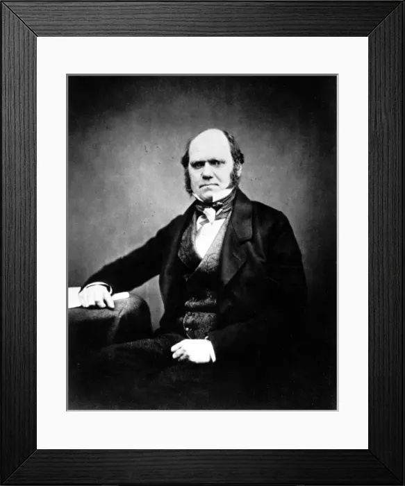 Framed Print : Charles Robert Darwin (1809-1882) Framed Print : Charles Robert Darwin (1809-1882)