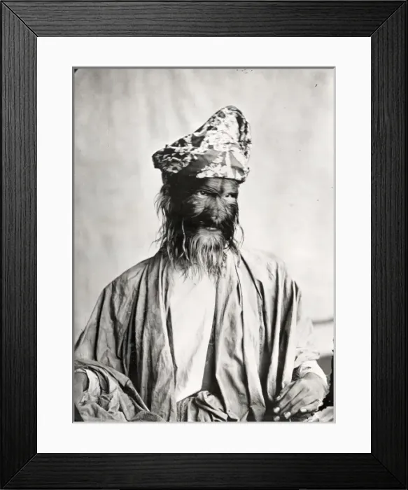 Framed Print : The hairy family of Burma Framed Print : The hairy family of Burma