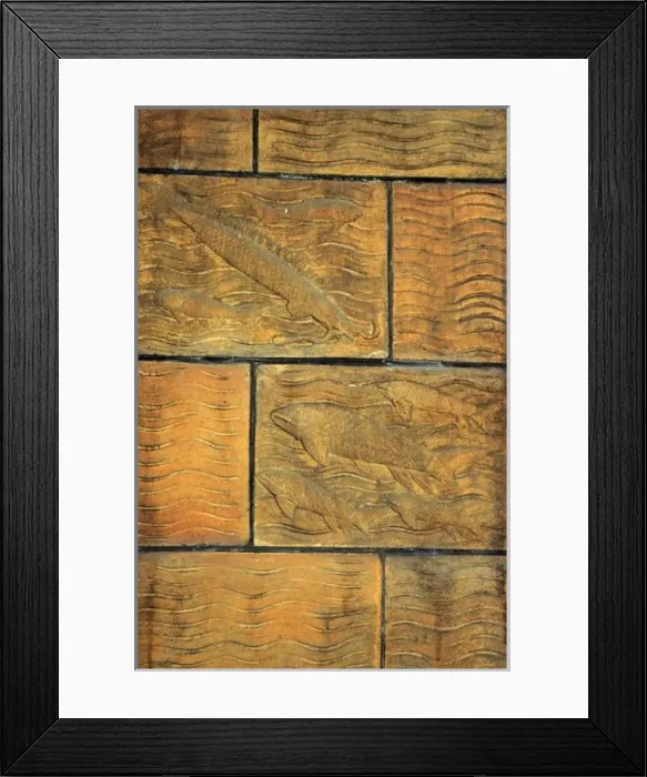 Framed Print : Detail of terracotta moulding of a fish in the Waterhouse Bu Framed Print : Detail of terracotta moulding of a fish in the Waterhouse Bu