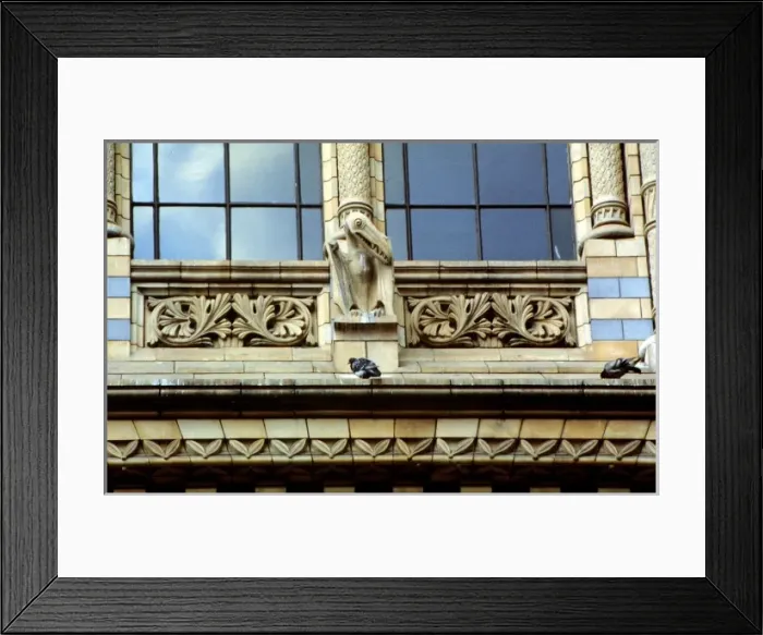 Framed Print : Detail view of the exterior of the Waterhouse Building Framed Print : Detail view of the exterior of the Waterhouse Building