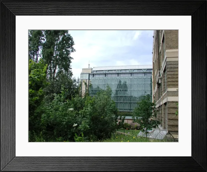 Framed Print : Exterior view of the Darwin Centre Framed Print : Exterior view of the Darwin Centre