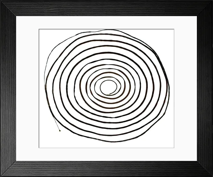 Framed Print : Chorda filum, sea lace Framed Print : Chorda filum, sea lace
