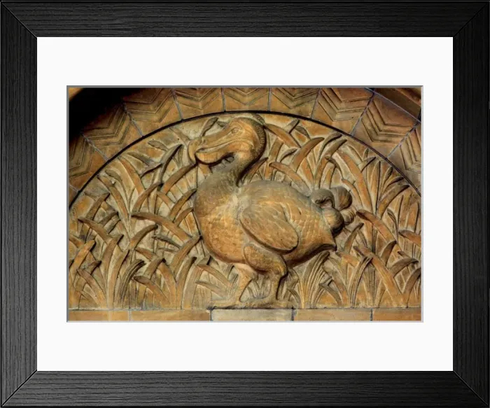 Framed Print : Detail of terracotta moulding of a dodo in the Waterhouse Bu Framed Print : Detail of terracotta moulding of a dodo in the Waterhouse Bu