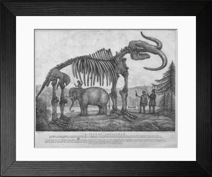 Framed Print : Missouri Leviathan Framed Print : Missouri Leviathan
