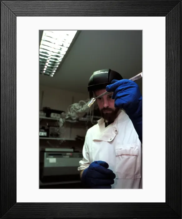 Framed Print : Scientist working with parasitic worms Framed Print : Scientist working with parasitic worms