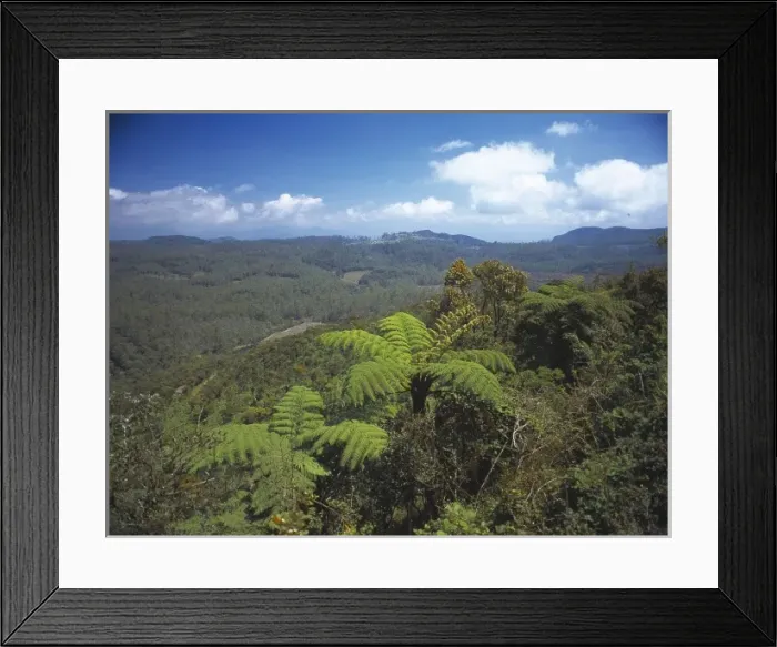 Framed Print : Horton Plains National Park, Sri Lanka Framed Print : Horton Plains National Park, Sri Lanka