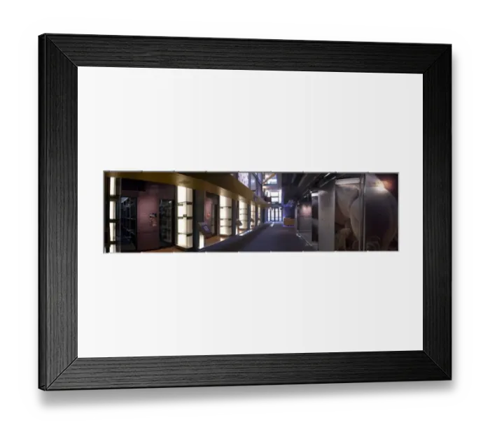 Framed Print : The Darwin Centre Framed Print : The Darwin Centre