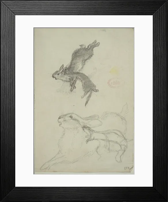 Framed Print : Lepus europaeus, European brown hare and Mustela nivalis, le Framed Print : Lepus europaeus, European brown hare and Mustela nivalis, le