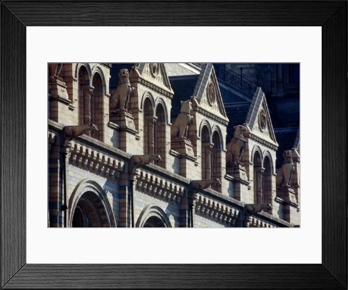 Framed Print : Detail view of the exterior of the Waterhouse Building Framed Print : Detail view of the exterior of the Waterhouse Building