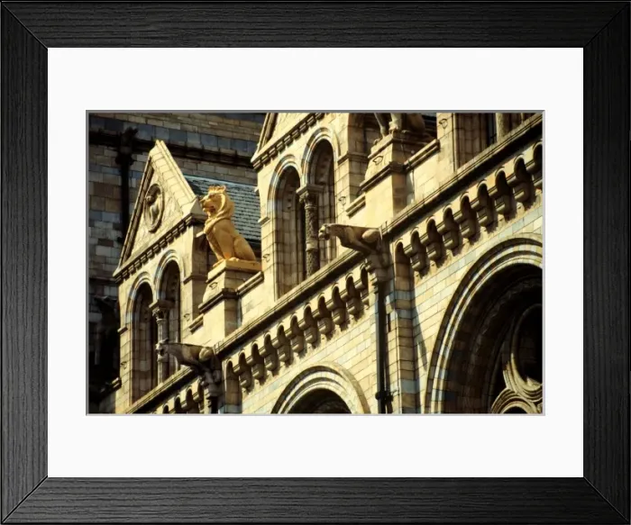 Framed Print : Detail view of the exterior of the Waterhouse Building Framed Print : Detail view of the exterior of the Waterhouse Building