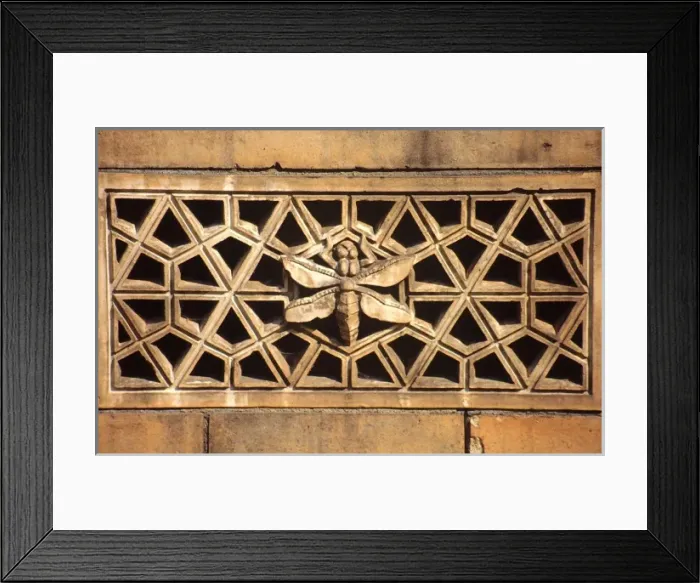 Framed Print : Detail of terracotta moulding of a dragonfly in the Waterhou Framed Print : Detail of terracotta moulding of a dragonfly in the Waterhou