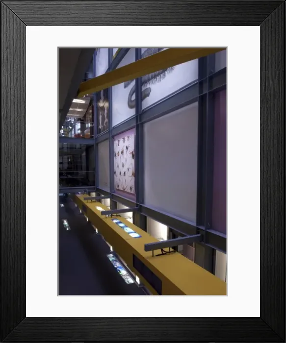 Framed Print : The Darwin Centre Framed Print : The Darwin Centre