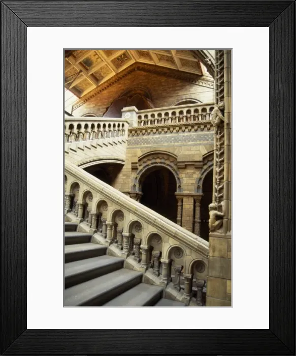 Framed Print : The Central Hall of the Natural History Museum, London Framed Print : The Central Hall of the Natural History Museum, London