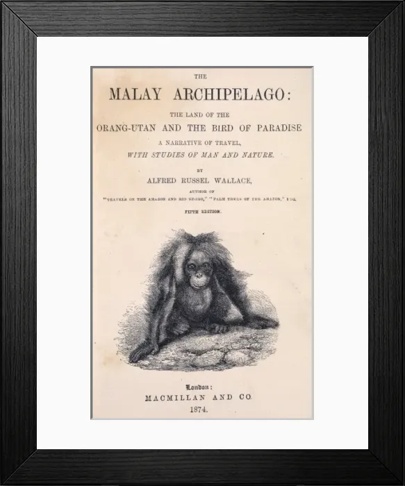 Framed Print : The Malay Archipelago Framed Print : The Malay Archipelago