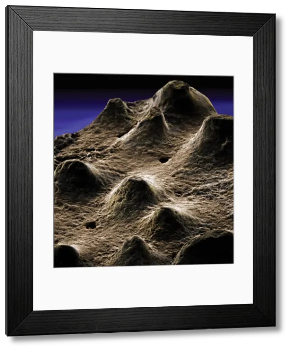 Framed Print : Dinosaur eggshell Framed Print : Dinosaur eggshell