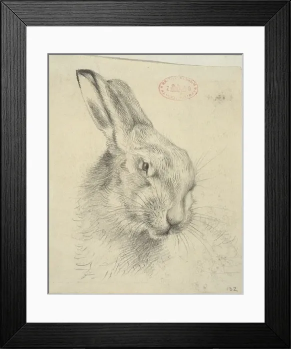 Framed Print : Lepus europaeus, European brown hare Framed Print : Lepus europaeus, European brown hare