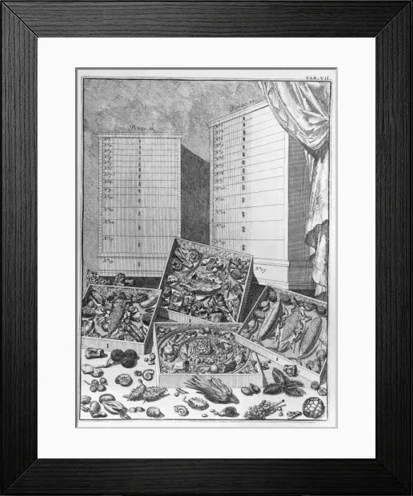 Framed Print : Theatre des Merveilles de la Nature Framed Print : Theatre des Merveilles de la Nature