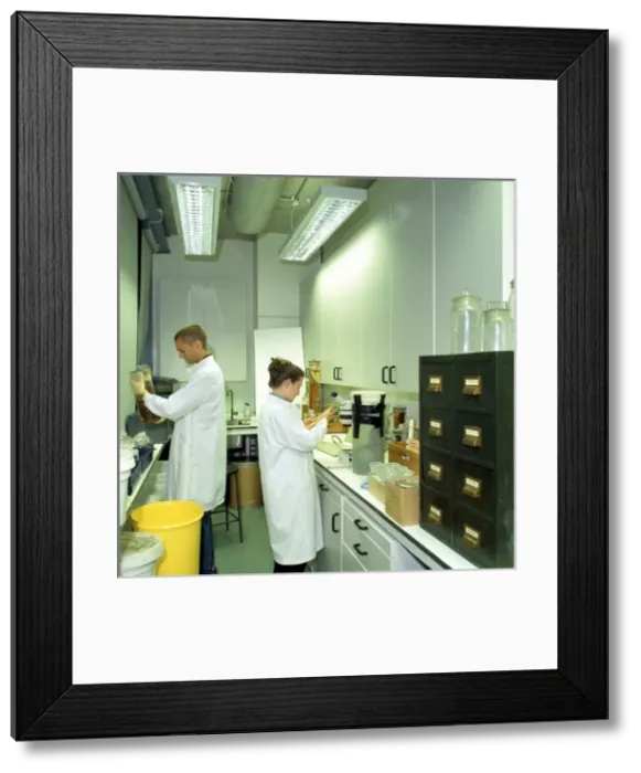 Framed Print : Laboratory in the Darwin Centre Framed Print : Laboratory in the Darwin Centre