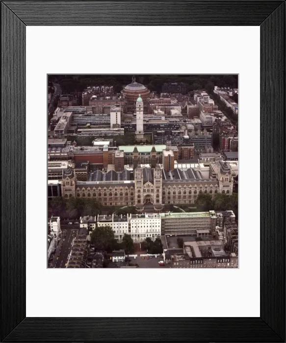 Framed Print : The Natural History Museum, London Framed Print : The Natural History Museum, London