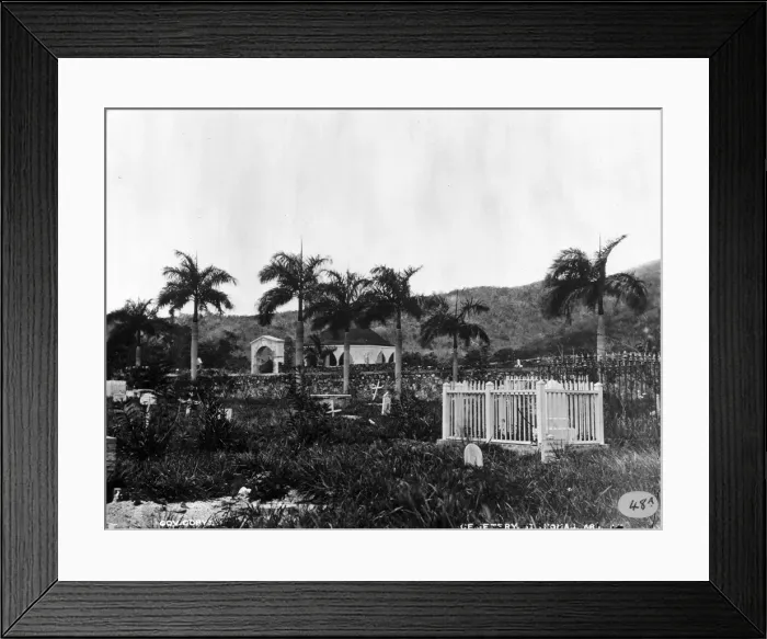 Framed Print : The Cemetary at St. Thomas, West Indies (1873) Framed Print : The Cemetary at St. Thomas, West Indies (1873)