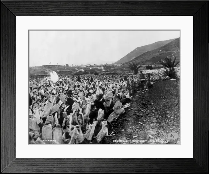 Framed Print : Cochineal Plantation, Tenerife Framed Print : Cochineal Plantation, Tenerife