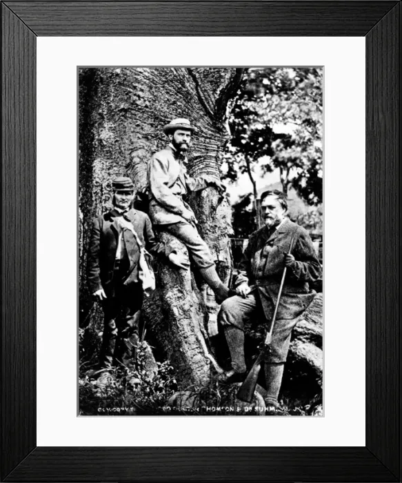 Framed Print : Prof. Charles Wyville Thomson (right) and Dr. Rudolf von Wil Framed Print : Prof. Charles Wyville Thomson (right) and Dr. Rudolf von Wil