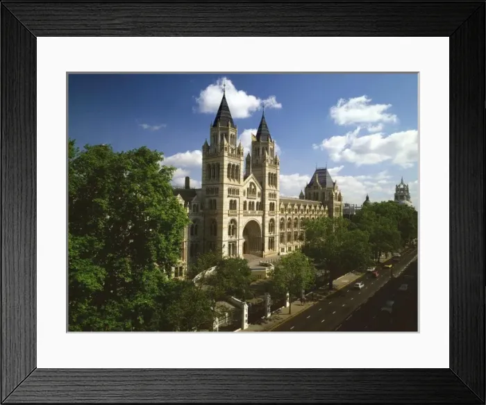 Framed Print : The Natural History Museum Framed Print : The Natural History Museum