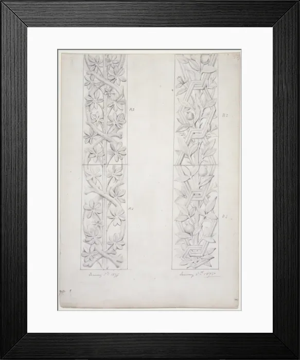 Framed Print : Plant design Framed Print : Plant design